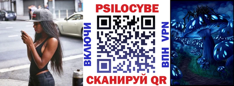 где купить   МЕГА ссылка  Галлюциногенные грибы Psilocybe  Чулым 